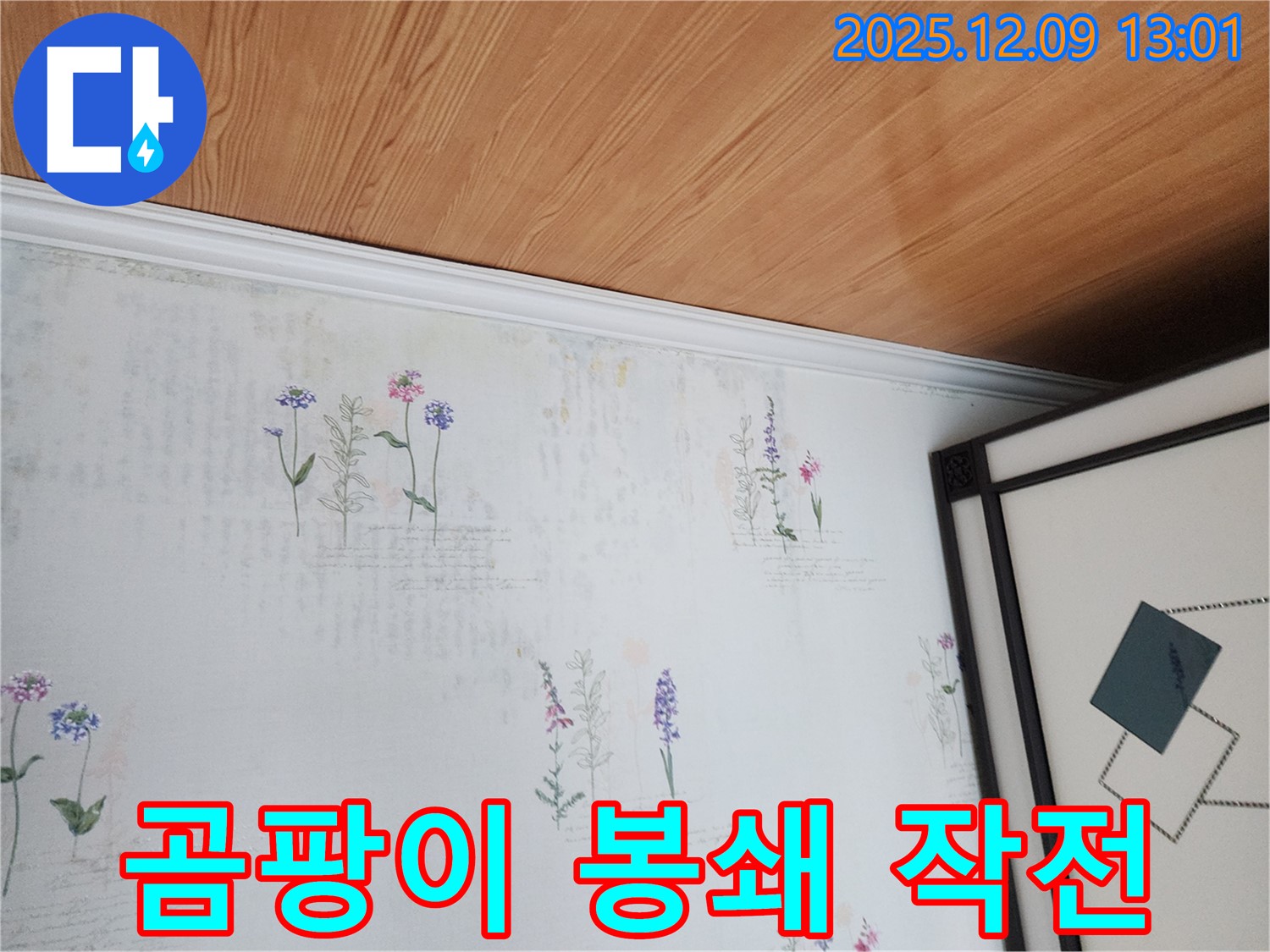 포천 영중면 누수 현장 - 곰팡이 초기 진압 및 완벽 봉쇄 작전