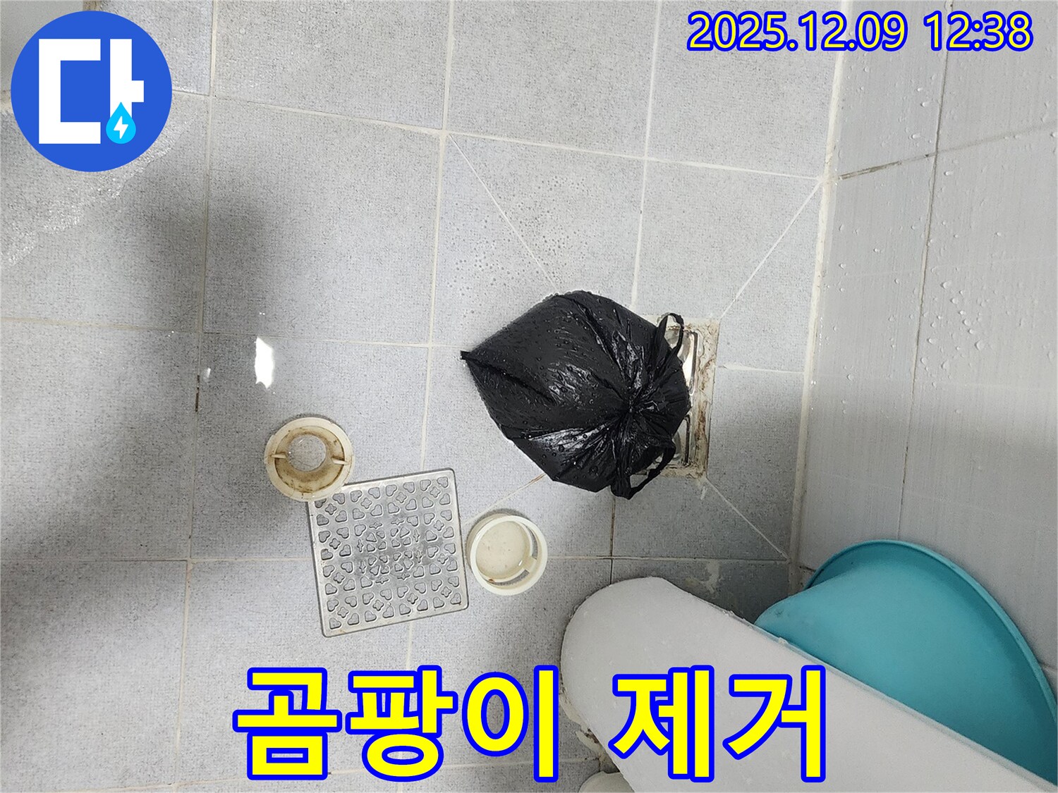 포천 영중면 - 배수구 주변 곰팡이 제거, 청결 유지