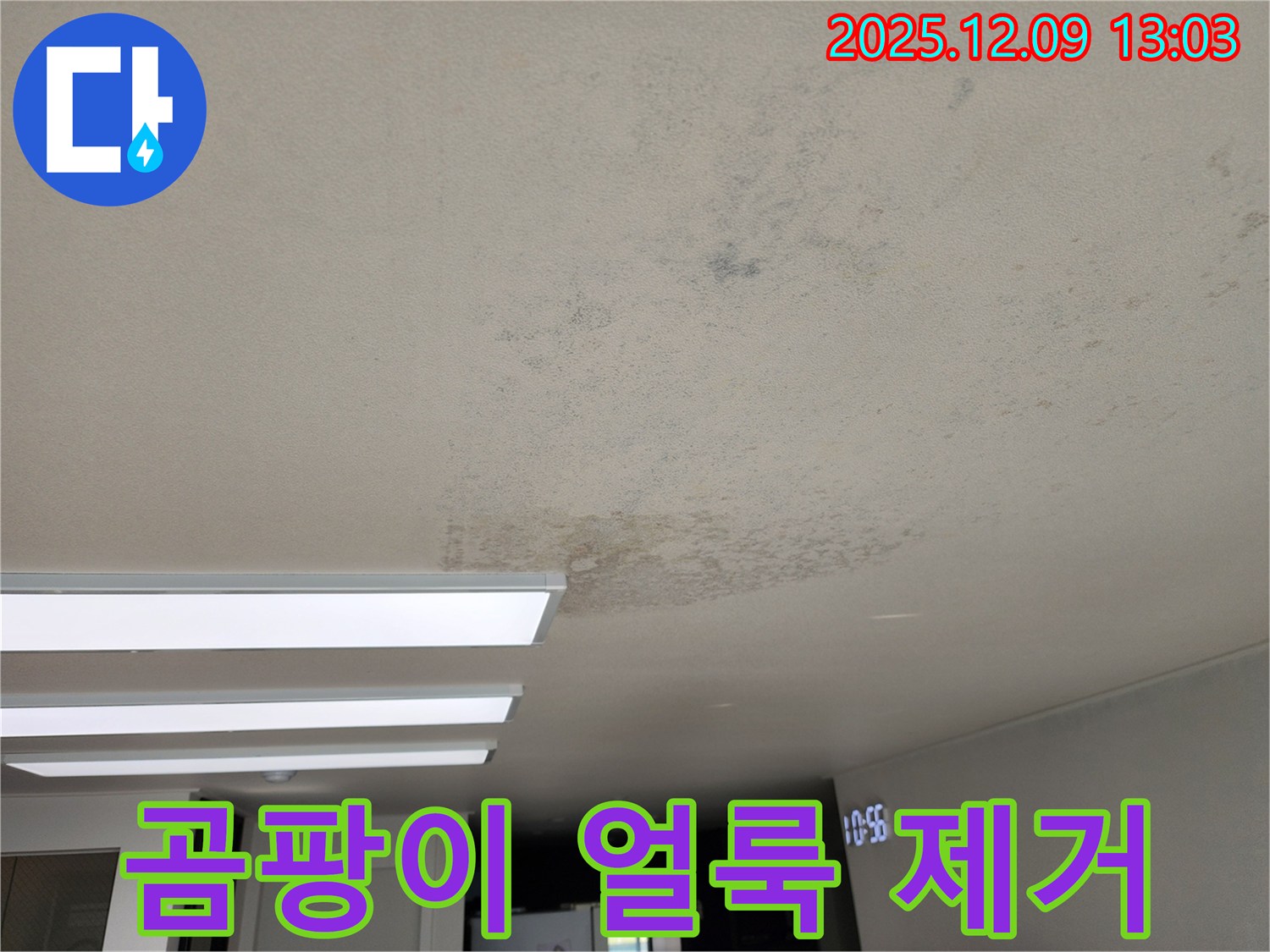 포천 영중면 성동리 - 곰팡이 얼룩 완벽 제거