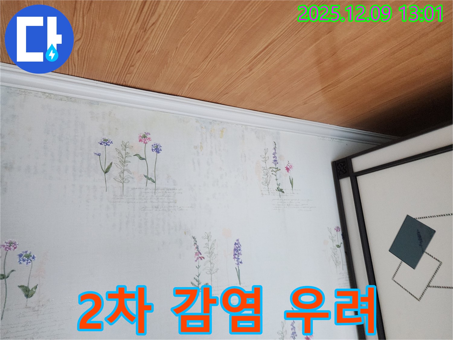 포천 영중면 성동리 누수 현장 - 벽지 곰팡이 2차 감염 우려 긴급 조치