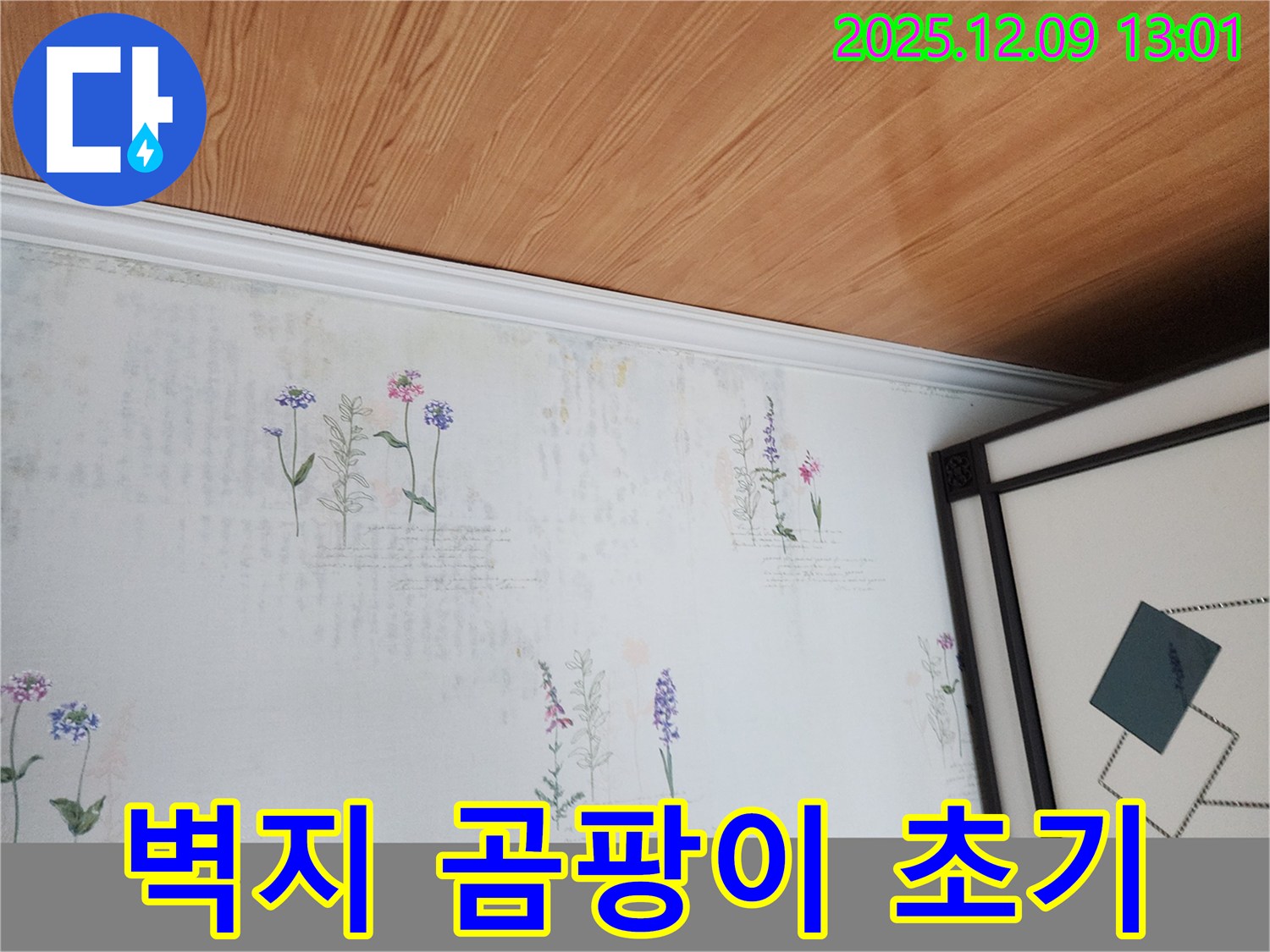 포천 영중면 성동리 누수 현장 - 벽지 훼손과 곰팡이 초기