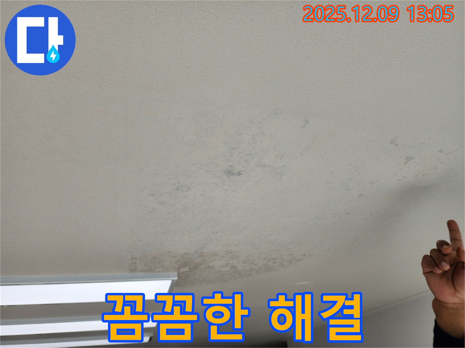 포천 영중면 천장 누수 - 곰팡이 초기, 꼼꼼한 전문가가 책임지고 해결합니다.
