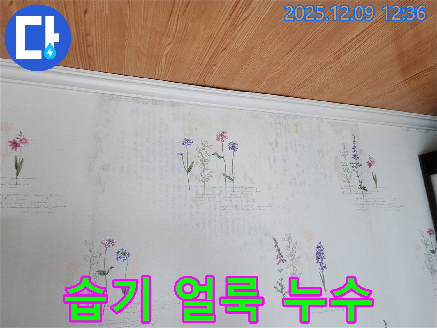 포천시 영중면 성동리 누수 현장 - 습기로 얼룩진 벽지와 곰팡이 문제를 해결하는 누수탐지 및 공사 과정