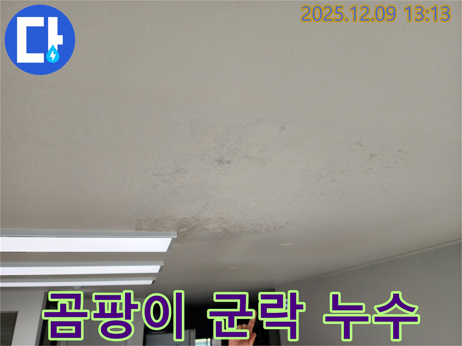 포천시 영중면 성동리 - 천장 누수로 인한 곰팡이 군락 발견
