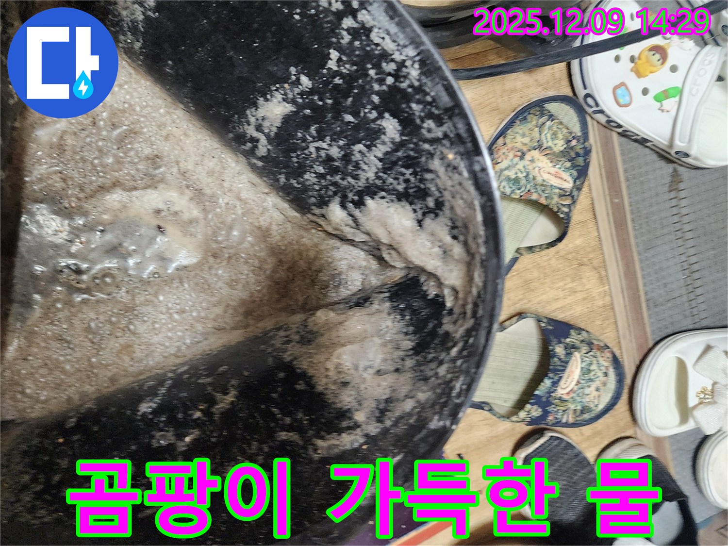 금주리 누수 - 곰팡이 가득한 오염된 물, 누수 해결 전문가의 진단