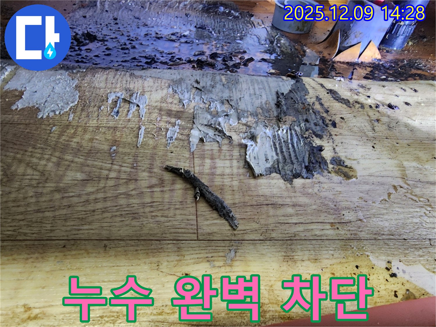 금주리 누수 해결 - 젖은 장판, 곰팡이 제거, 완벽한 누수 차단