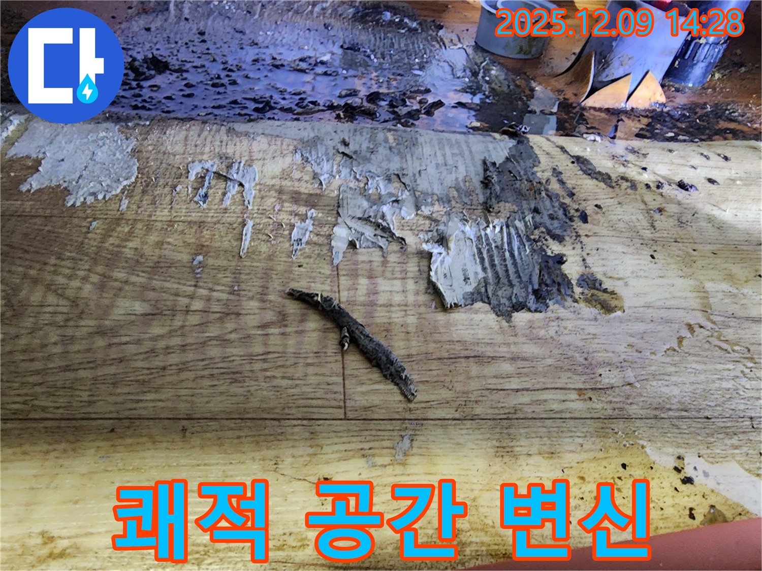 금주리 누수 해결 - 젖은 장판, 곰팡이 제거, 쾌적한 공간으로 변신