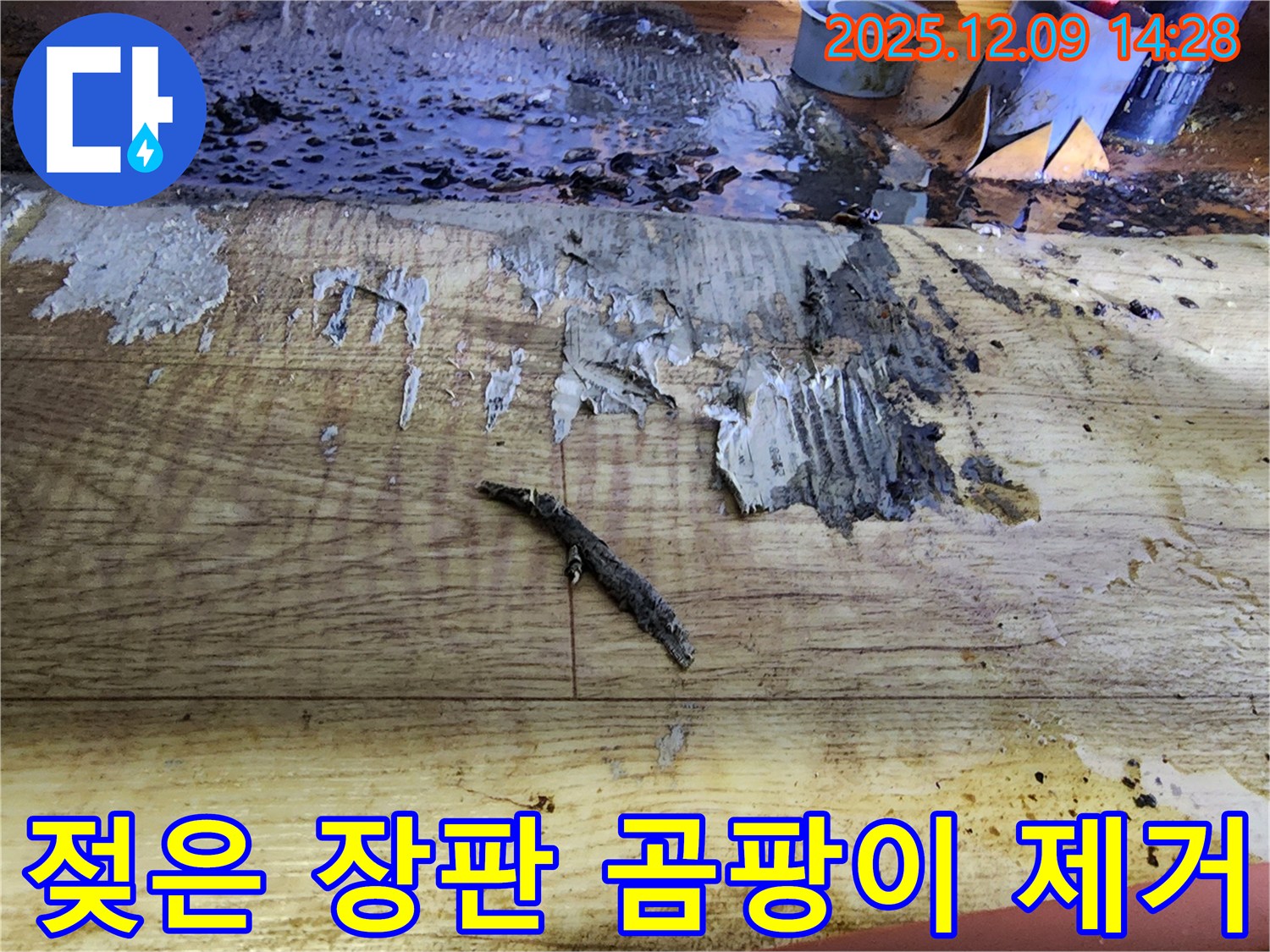 영중면 누수 공사 - 젖은 장판 교체와 곰팡이 완벽 제거