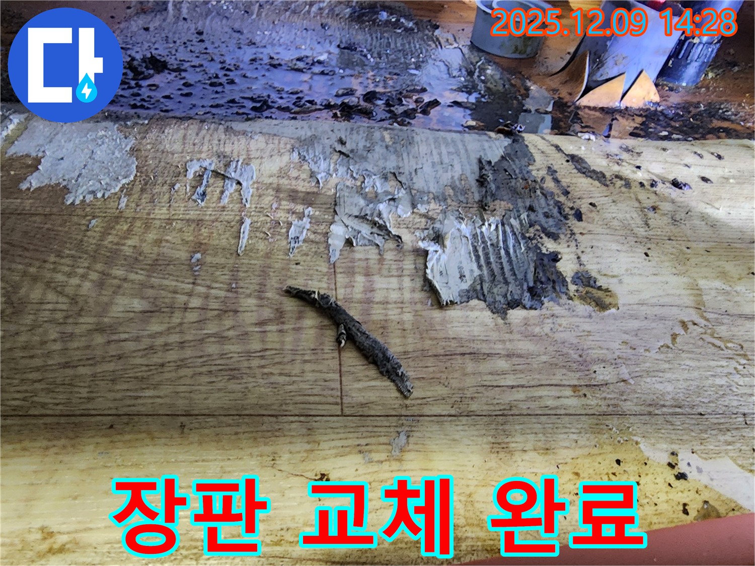 영중면 누수 공사 - 젖은 장판 제거 후 깨끗한 새 장판 교체