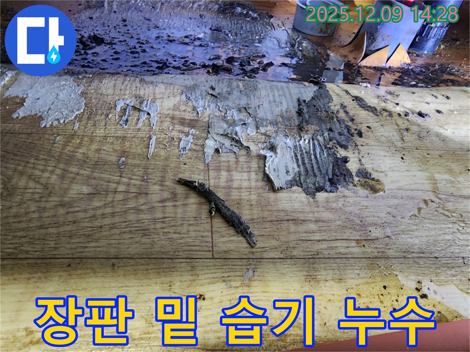 포천 누수 탐지 - 장판 밑 습기, 누수의 시작