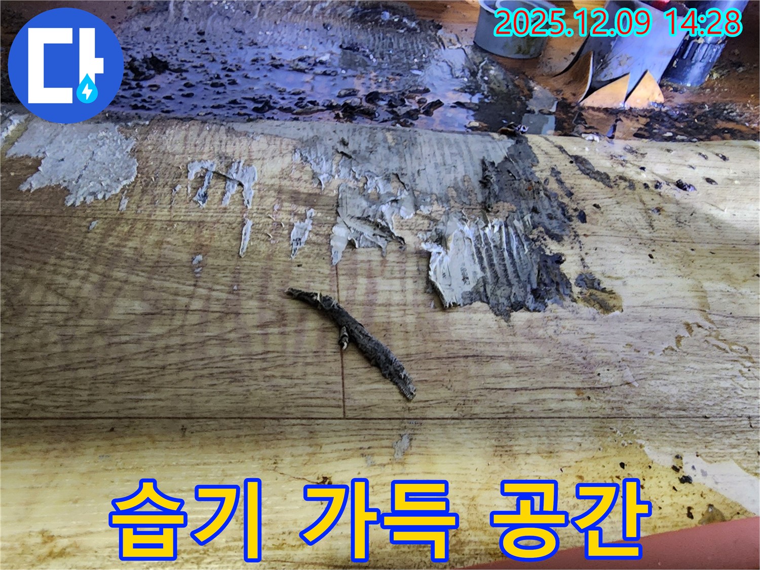 포천 누수 탐지 - 젖은 장판, 곰팡이 냄새, 습기로 가득 찬 공간