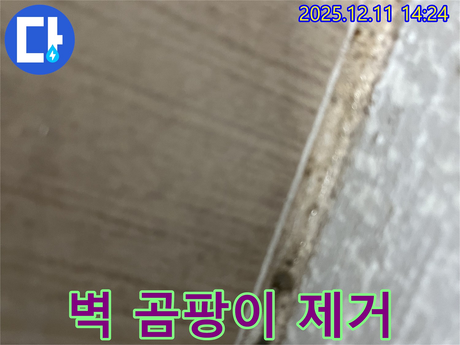 마포 누수 - 벽 곰팡이 제거 - 쾌적한 실내 공간 만들기