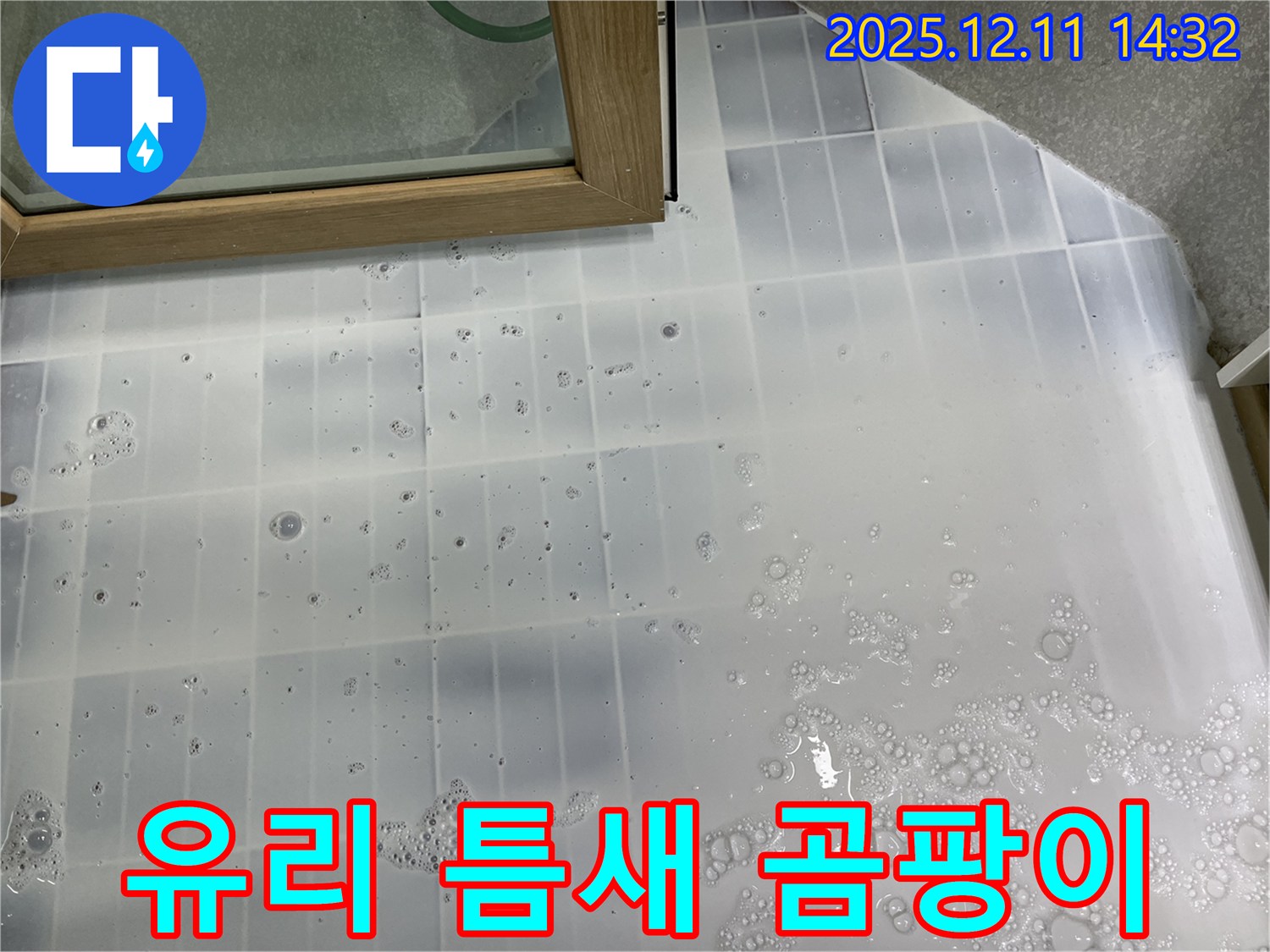 마포구 누수 - 샤워부스 유리 틈새 곰팡이 - 누수 원인 진단