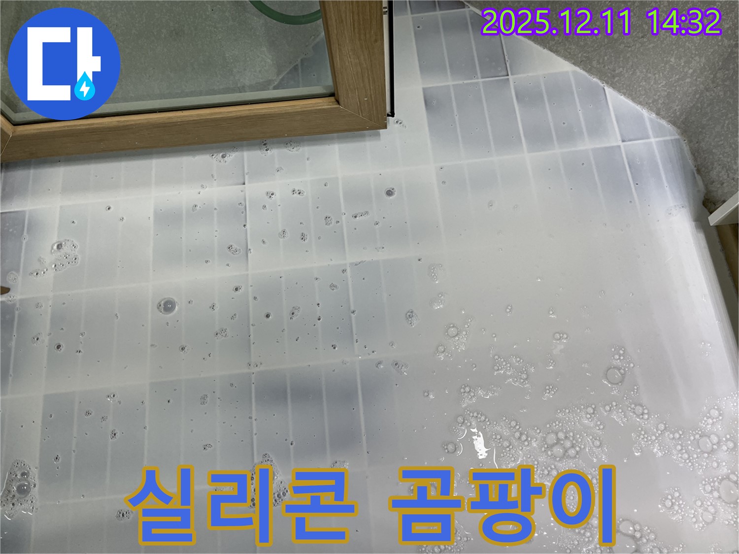 마포구 누수 - 샤워부스 주변 실리콘 곰팡이 - 긴급 곰팡이 제거