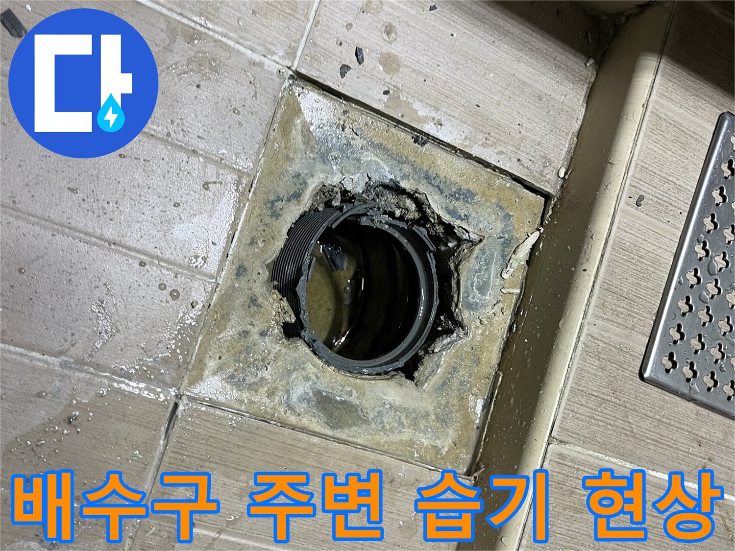 마포구-다용도실-배수구-주변-물샘-현상-사진