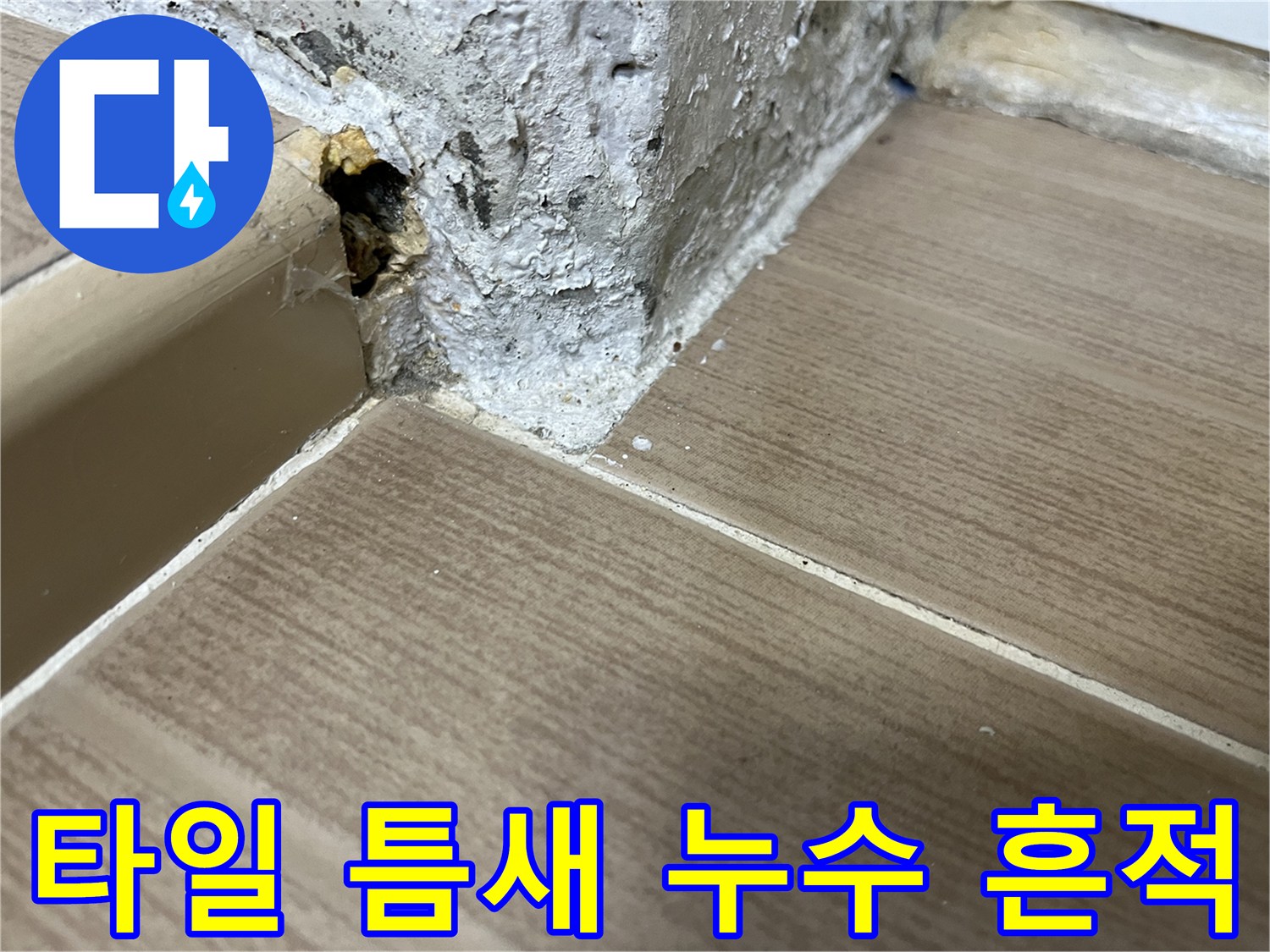 물이-스며든-배수구-주변의-타일_경계면