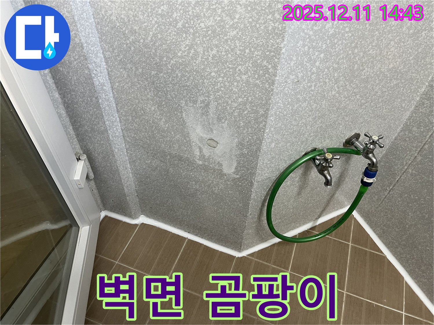 벽면 곰팡이 - 누수와 곰팡이 동시 해결!