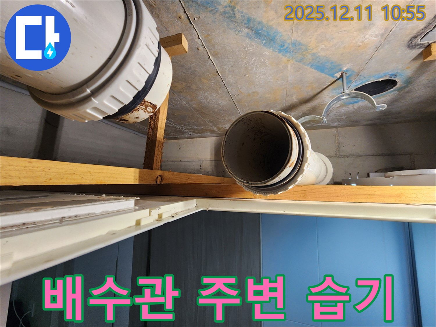 김포 구래동 아파트 배수관 주변 습기 - 배수관 주변에 습기가 많고 곰팡이가 발생하여 누수 가능성을 점검하고 있습니다.
