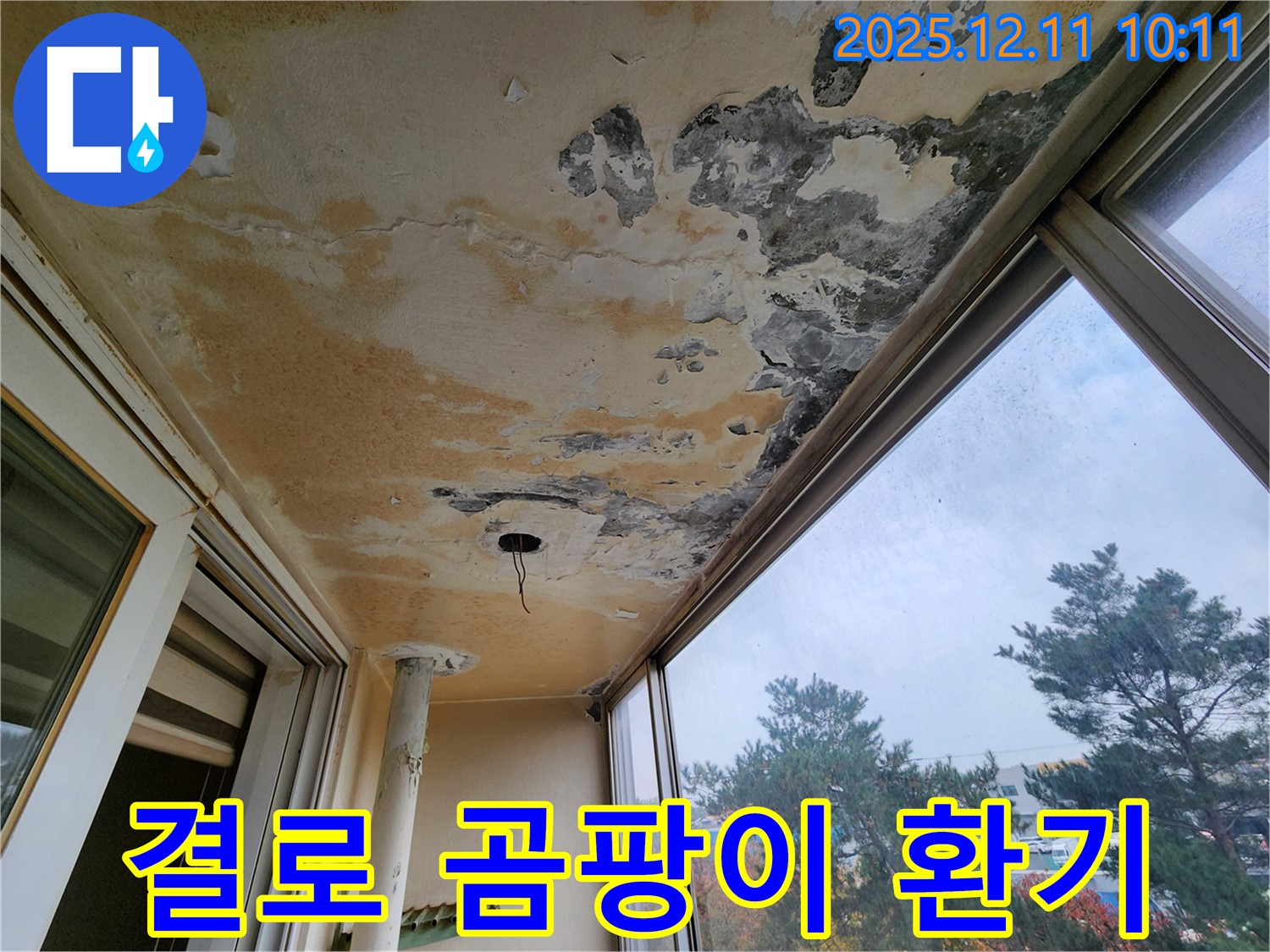 결로 - 곰팡이 - 환기 부족 의심
