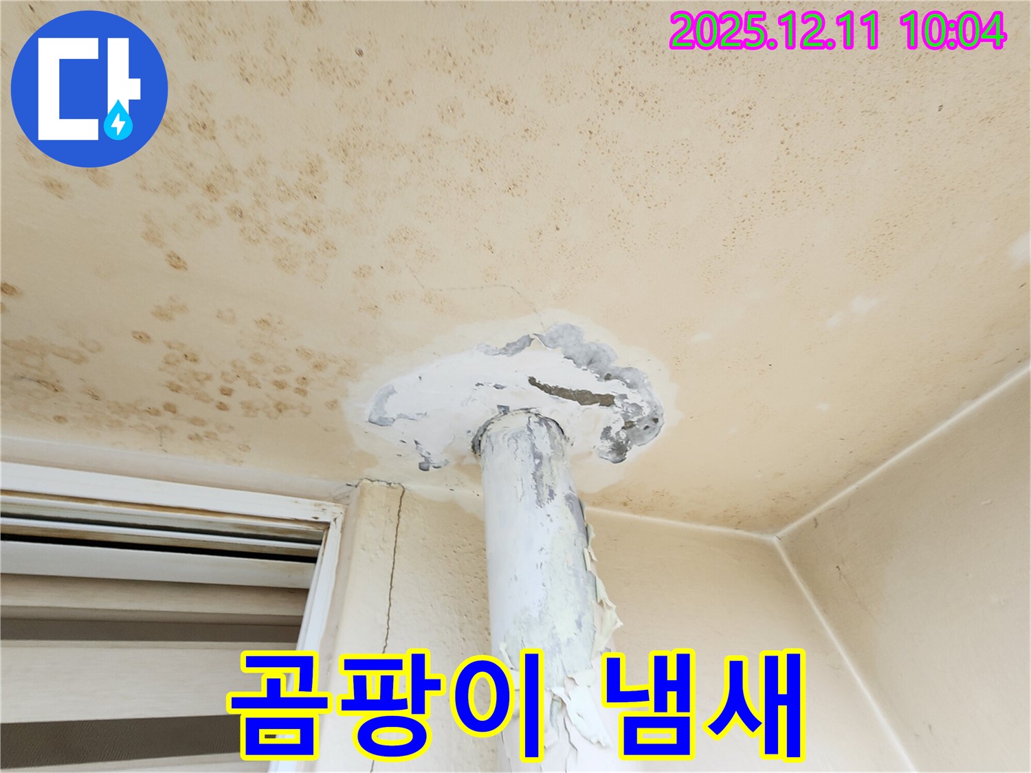 곰팡이 냄새 - 건강 위협!