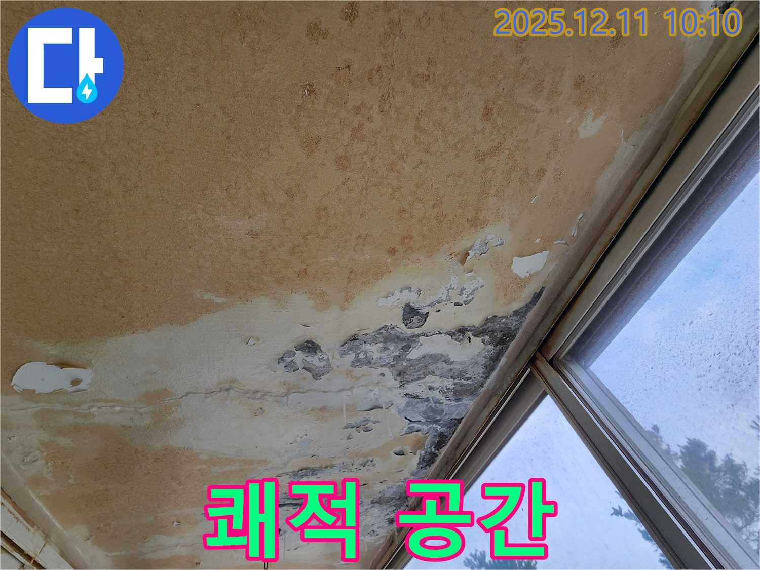 곰팡이 냄새와 얼룩 - 쾌적한 공간