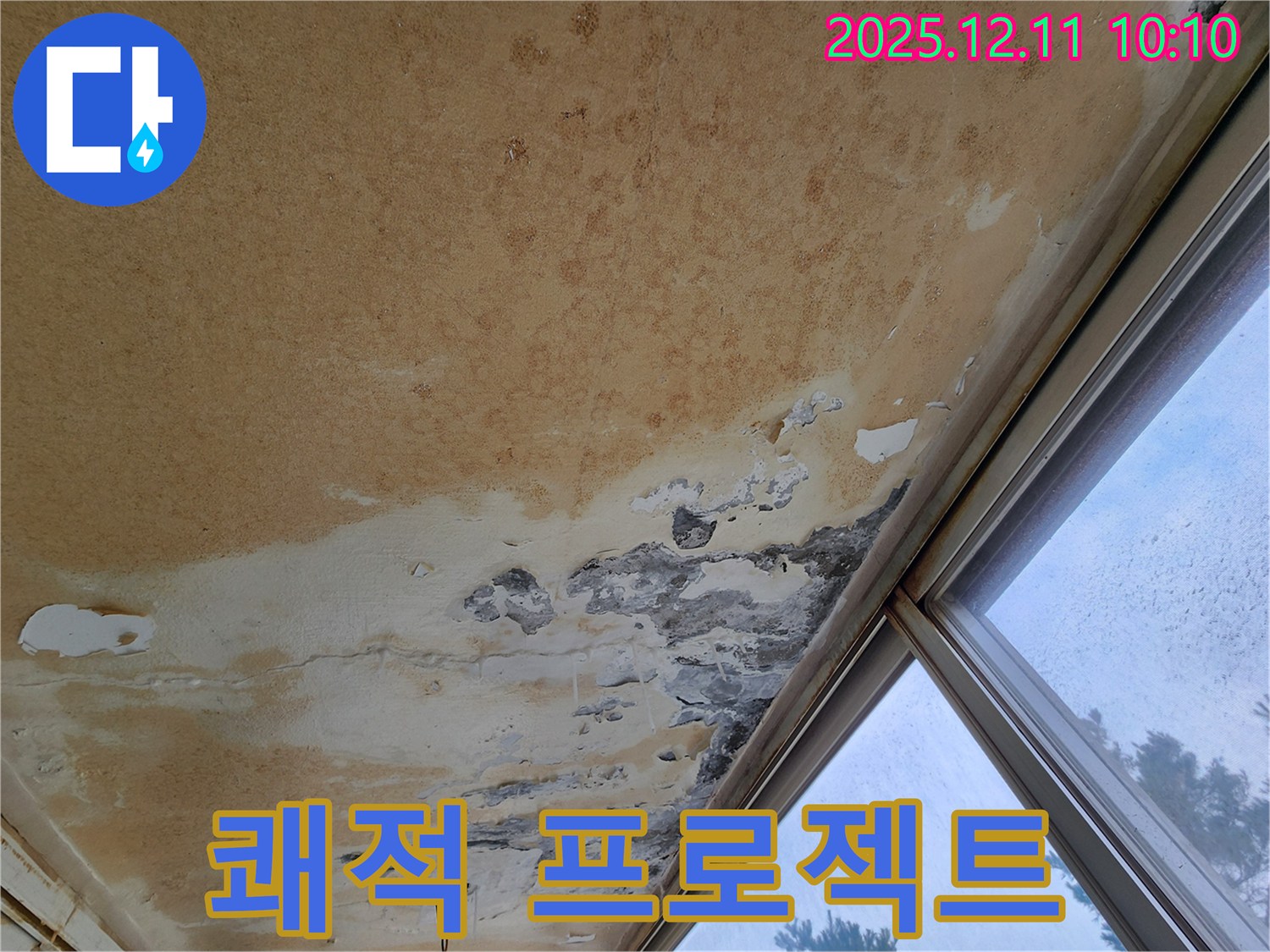 곰팡이 냄새와 얼룩 - 쾌적한 공간 되찾기