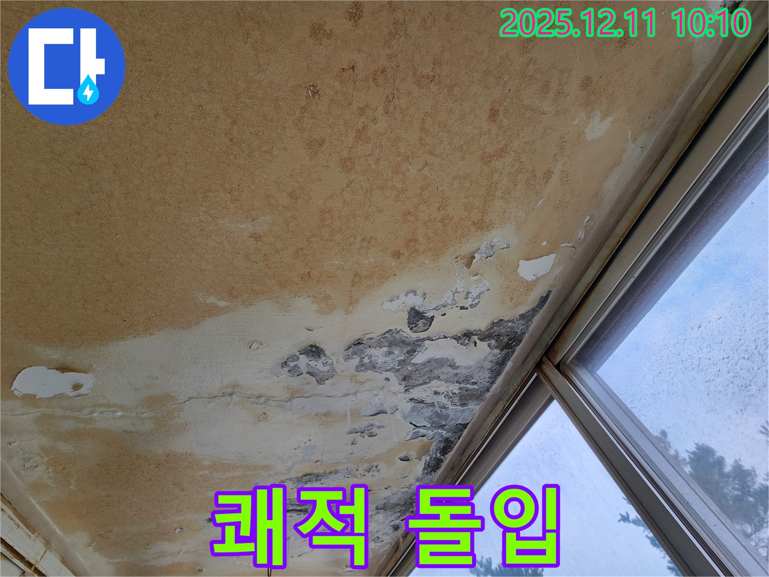 곰팡이 냄새와 얼룩 - 쾌적한 공간 되찾기 프로젝트 돌입