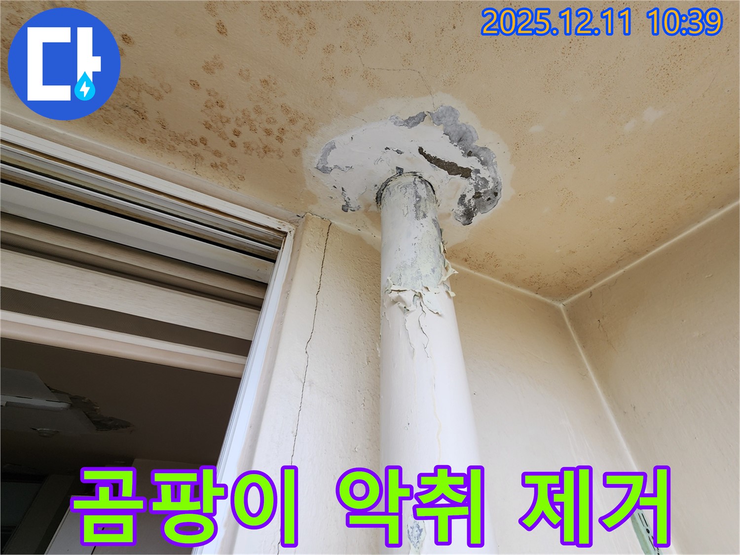 곰팡이 악취 - 천장 누수 - 제거 완벽 시공