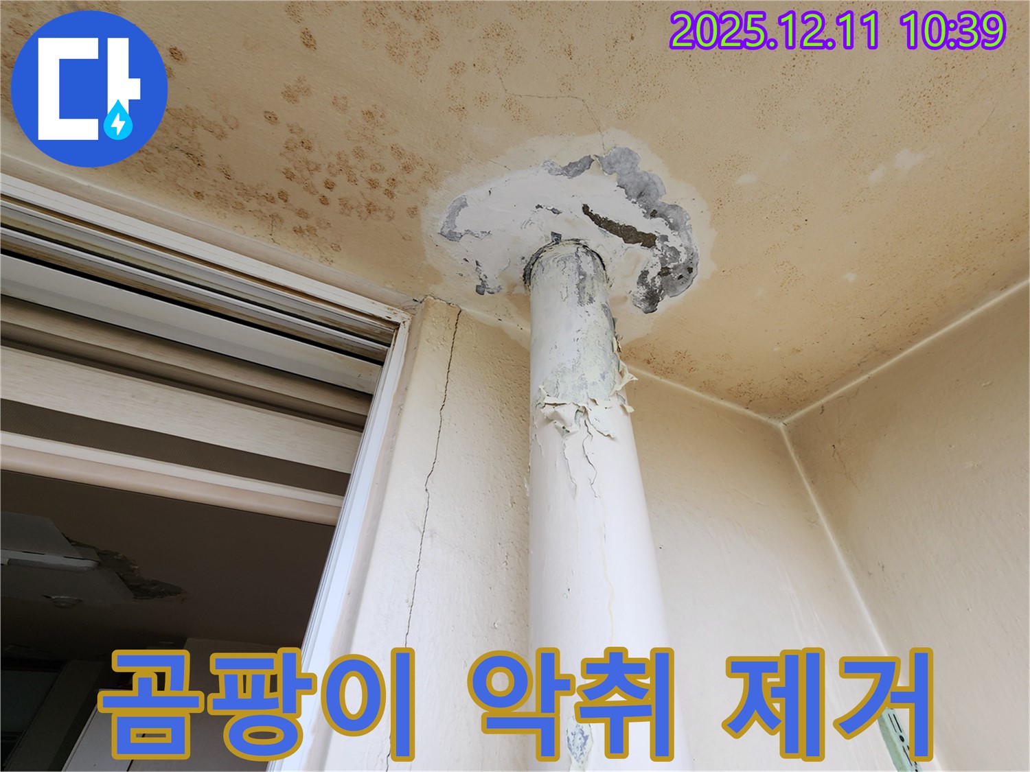 곰팡이 악취 - 천장 누수 - 제거 완벽 시공