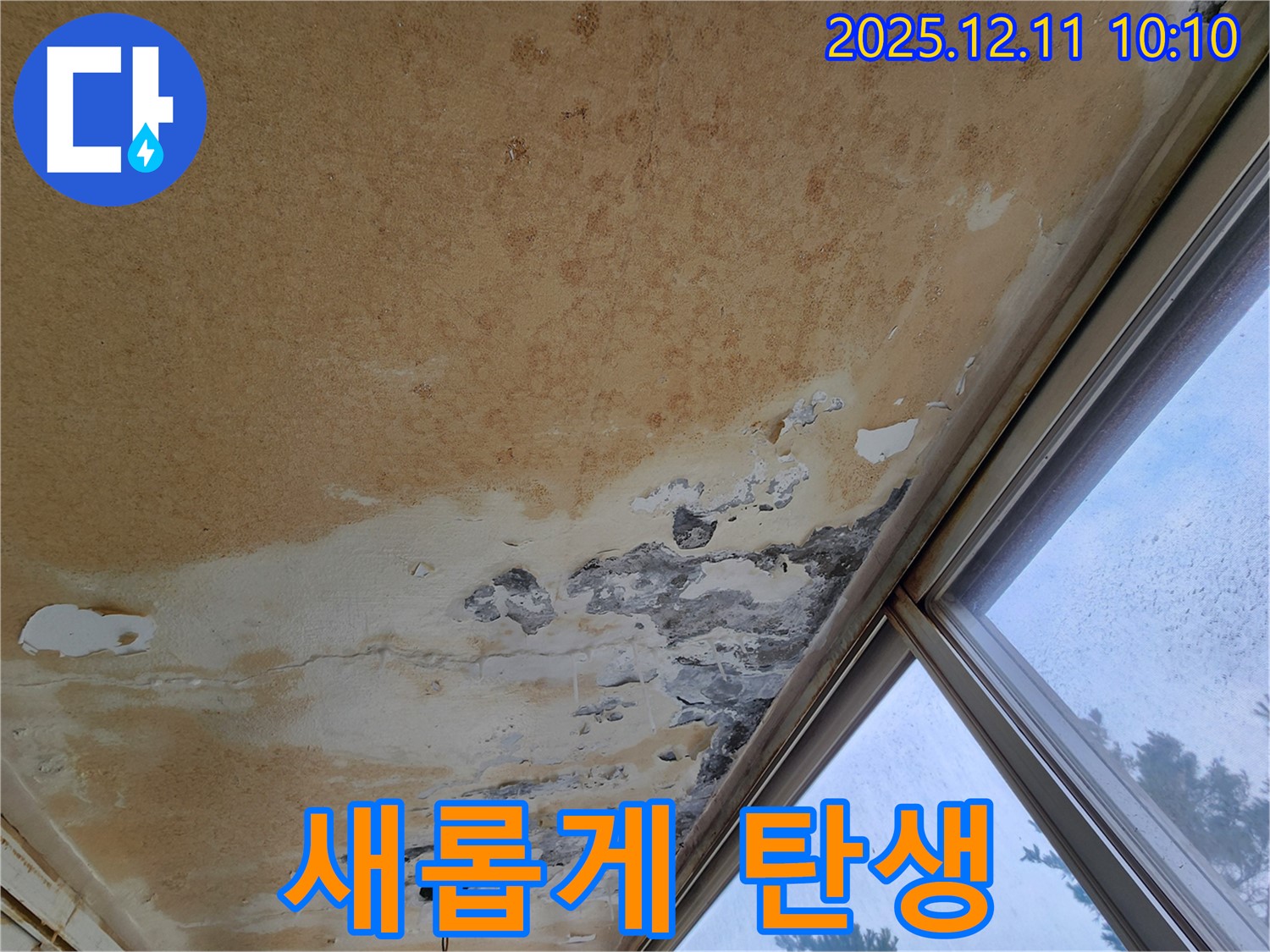 곰팡이 얼룩 심한 천장 - 완벽하게 새롭게 탄생