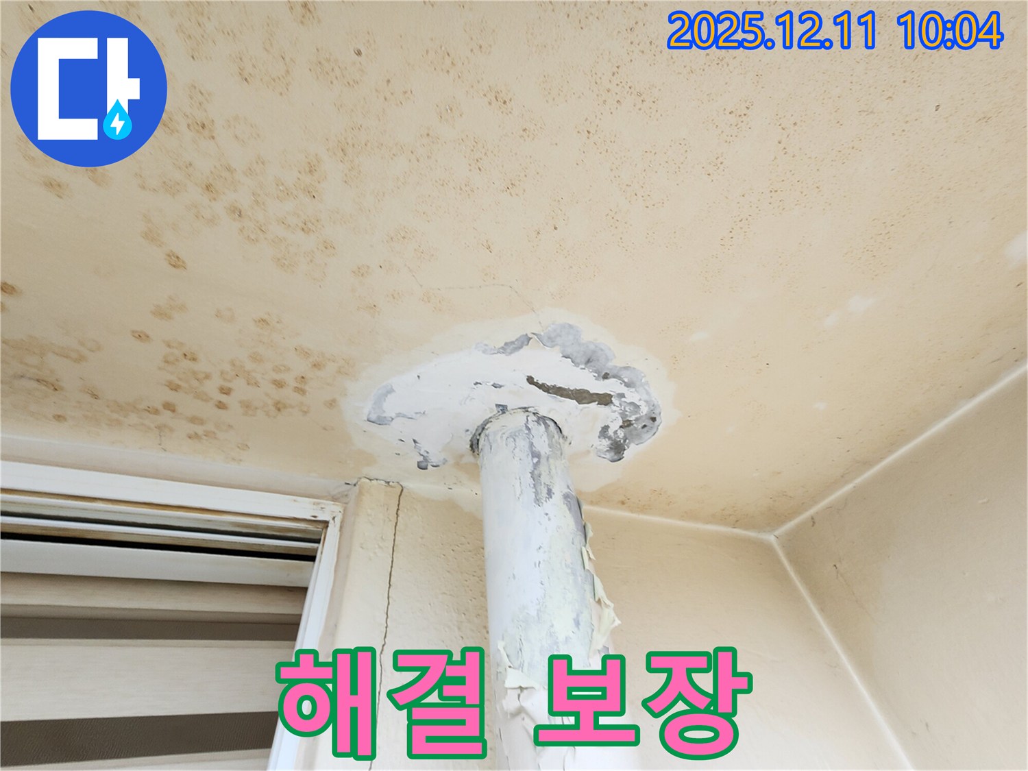 곰팡이 천장 - 누수 문제, 완벽 해결 보장!