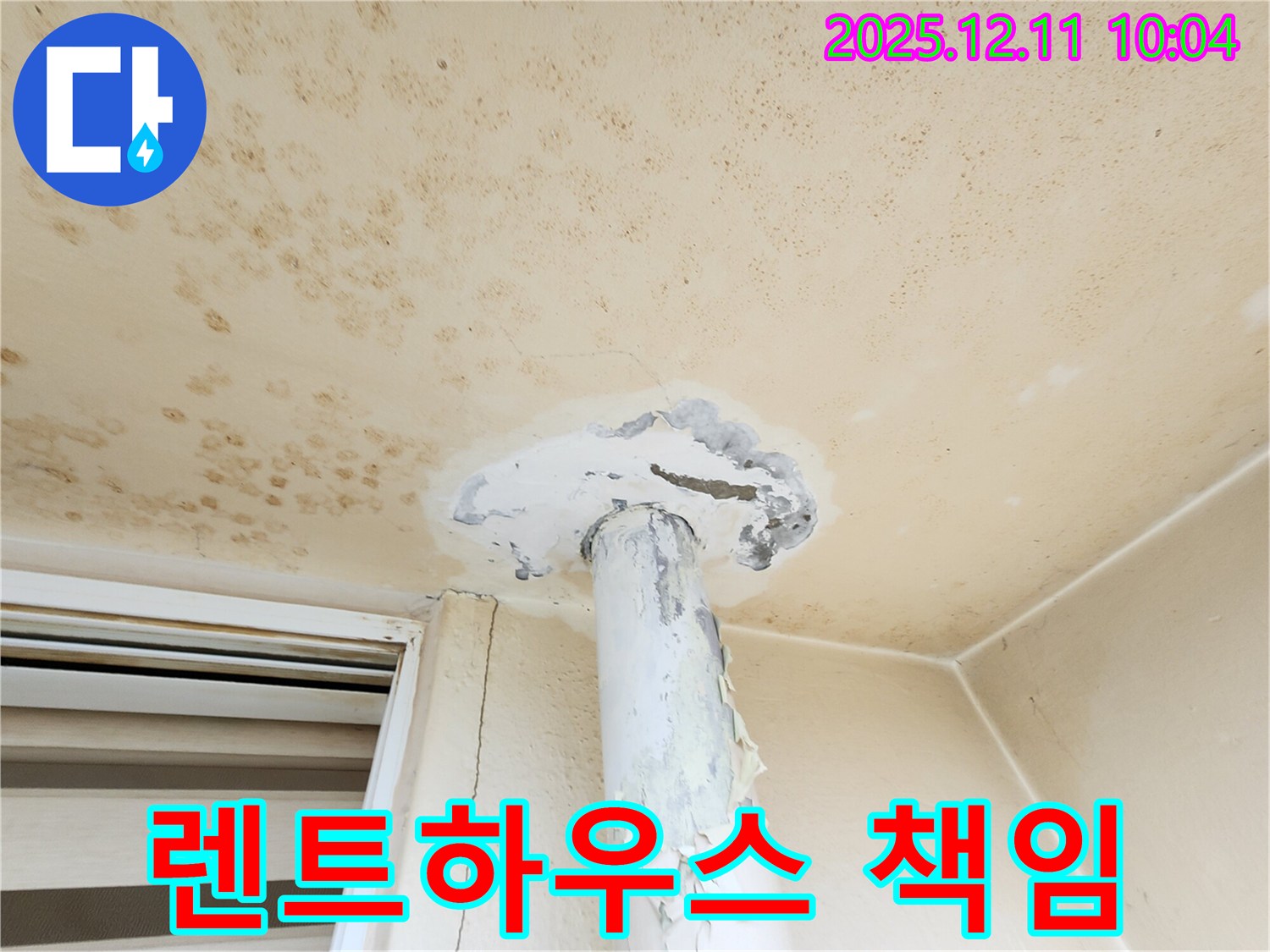 곰팡이 천장 - 렌트하우스, 누구 책임일까요?