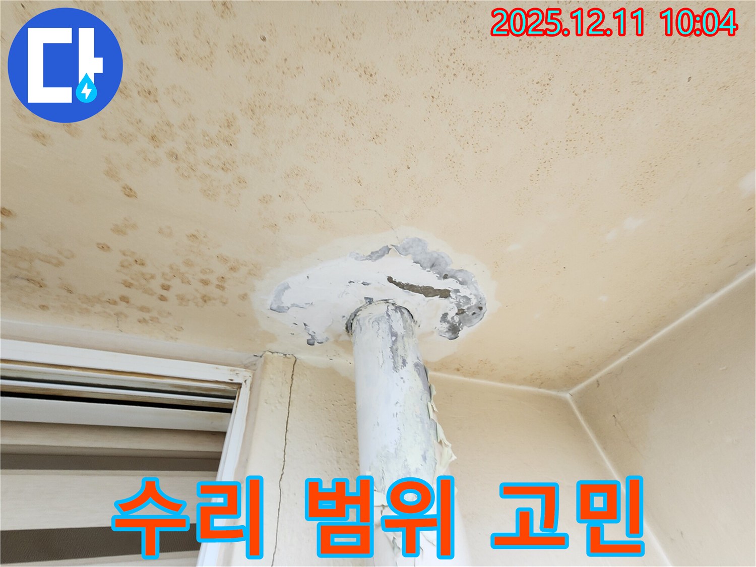 곰팡이 천장 - 부분 수리 vs 전체 수리?