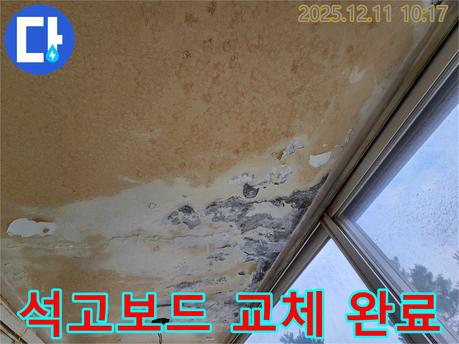 곰팡이 천장 - 석고보드 교체로 곰팡이 걱정 끝