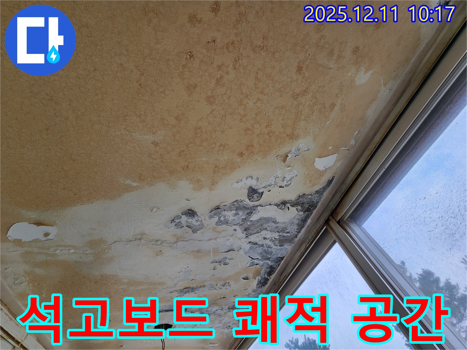 곰팡이 천장 - 쾌적한 공간