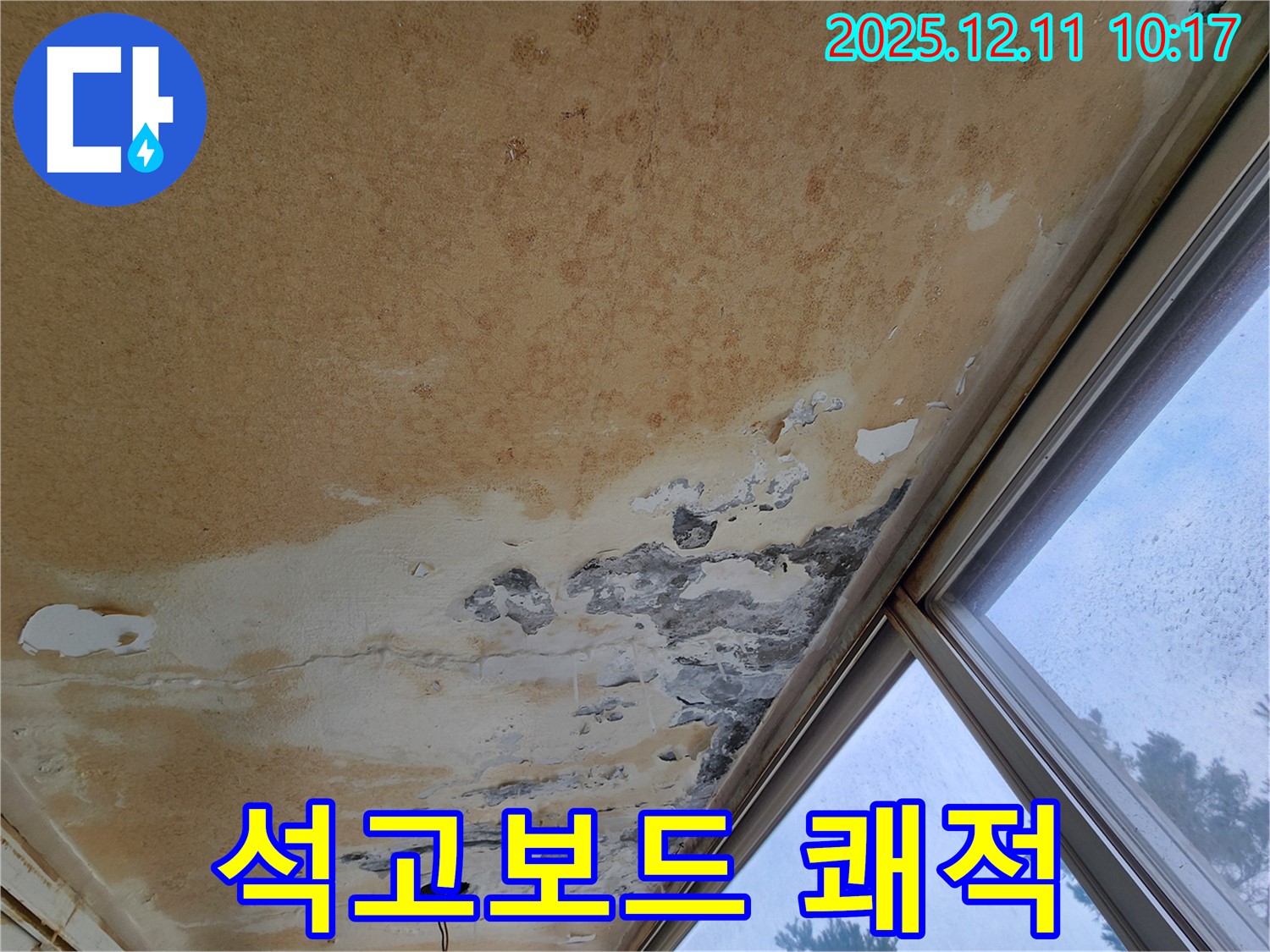 곰팡이 천장 - 쾌적한 환경, 석고보드 교체