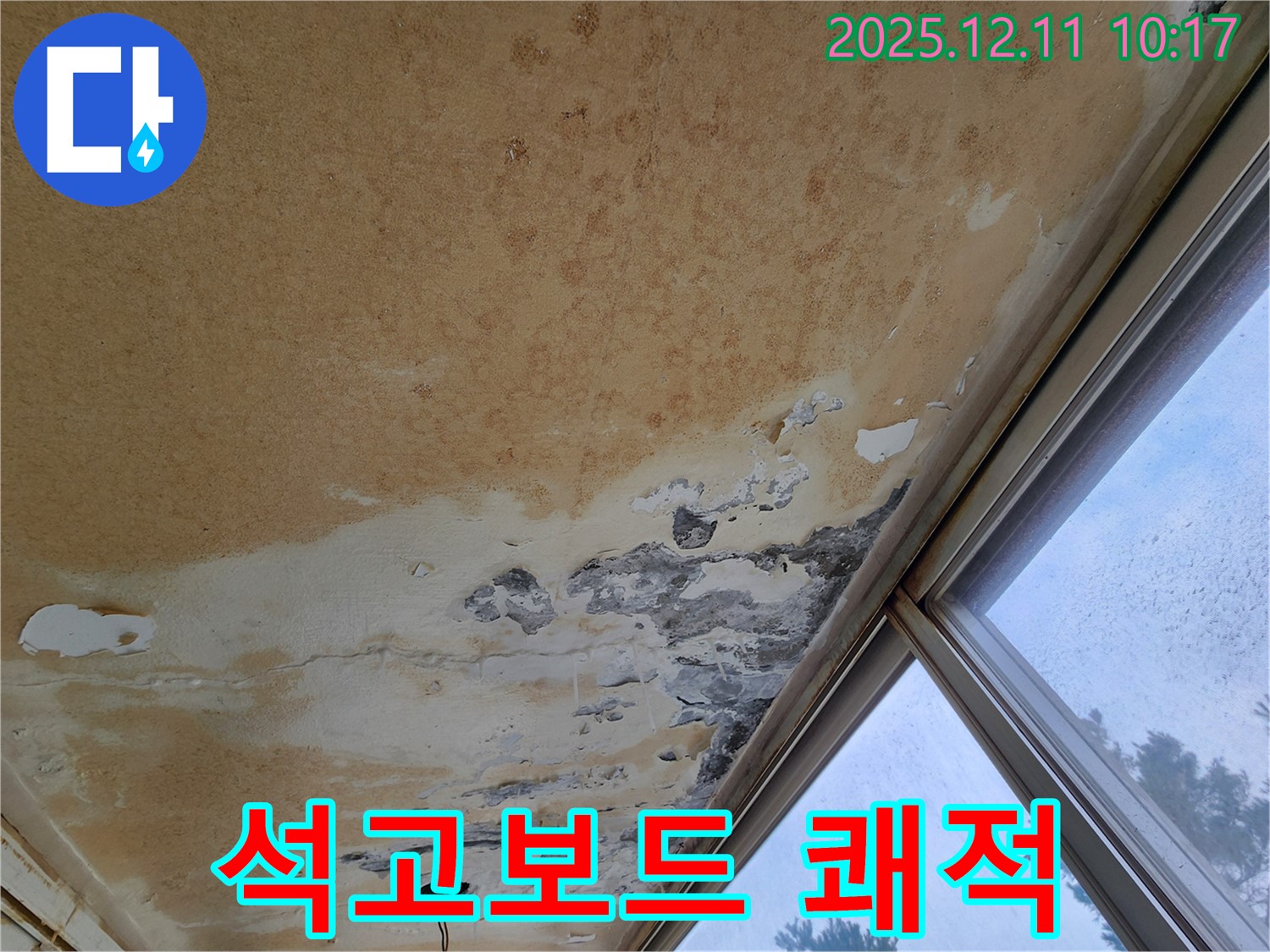 곰팡이 천장 - 쾌적한 환경, 석고보드 교체