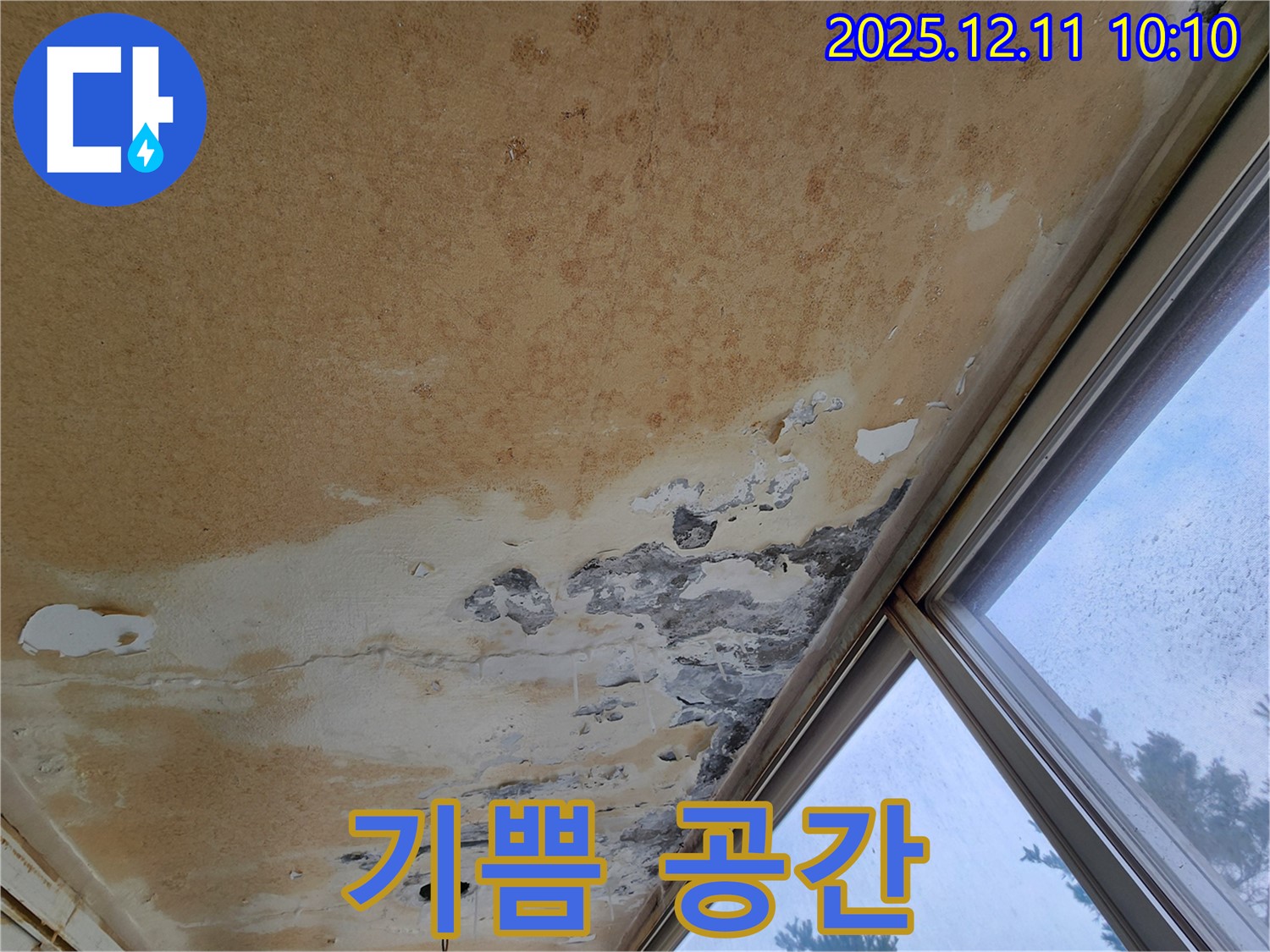 곰팡이와 함께 새 출발 - 기쁨 넘치는 공간
