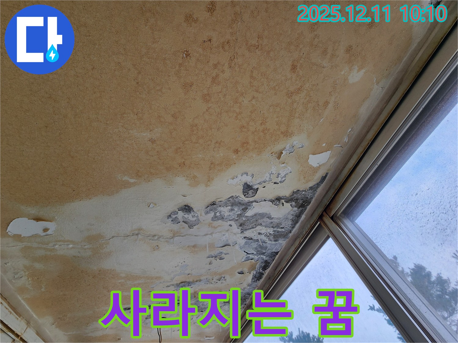 낡은 천장과 곰팡이 - 사라지는 꿈
