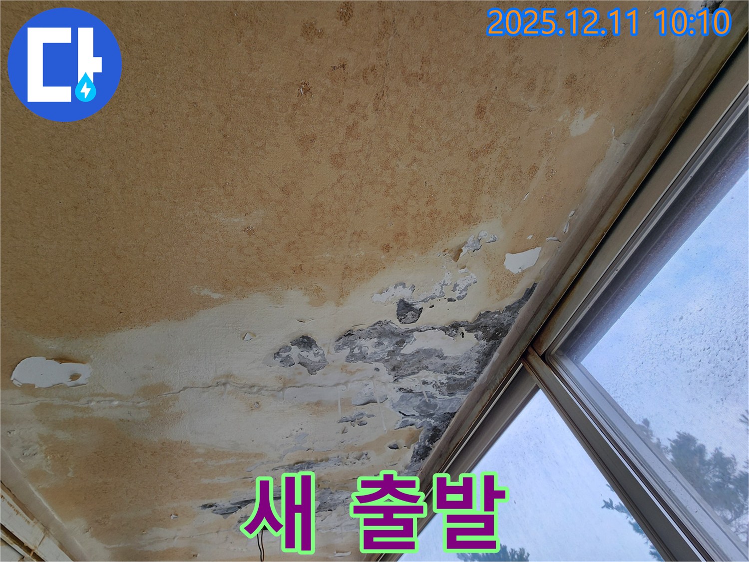 낡은 천장과 곰팡이 - 새 출발