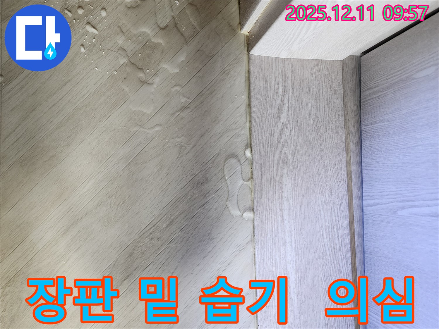 남궁리 장판 밑 습기 - 숨겨진 누수를 의심하세요!