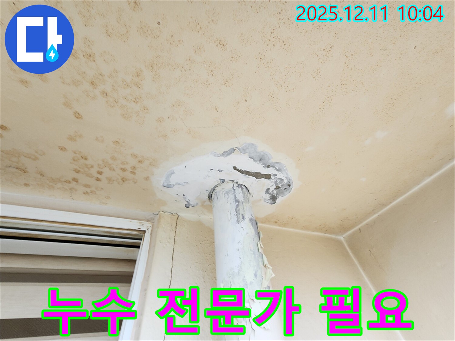 누수 - 전문가가 필요한 이유!