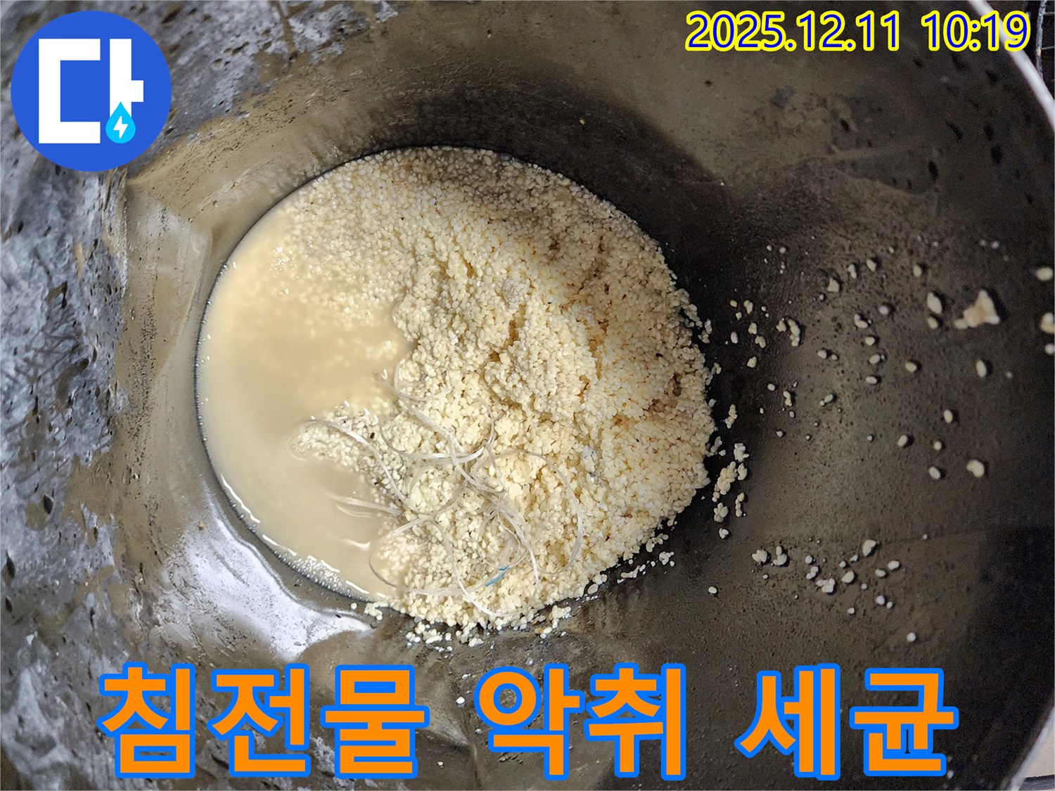 배관 속 누런 침전물 - 악취 동반 시 세균 번식 의심