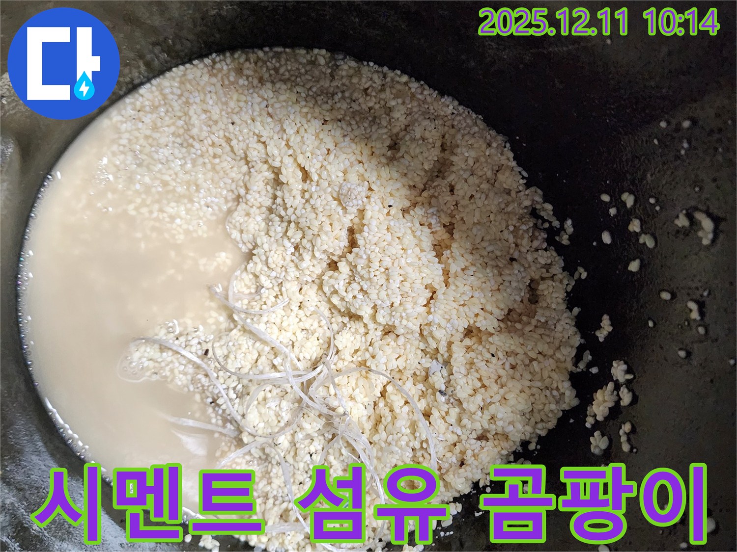 배관 속 시멘트 - 섬유 - 곰팡이 - 누수 유발