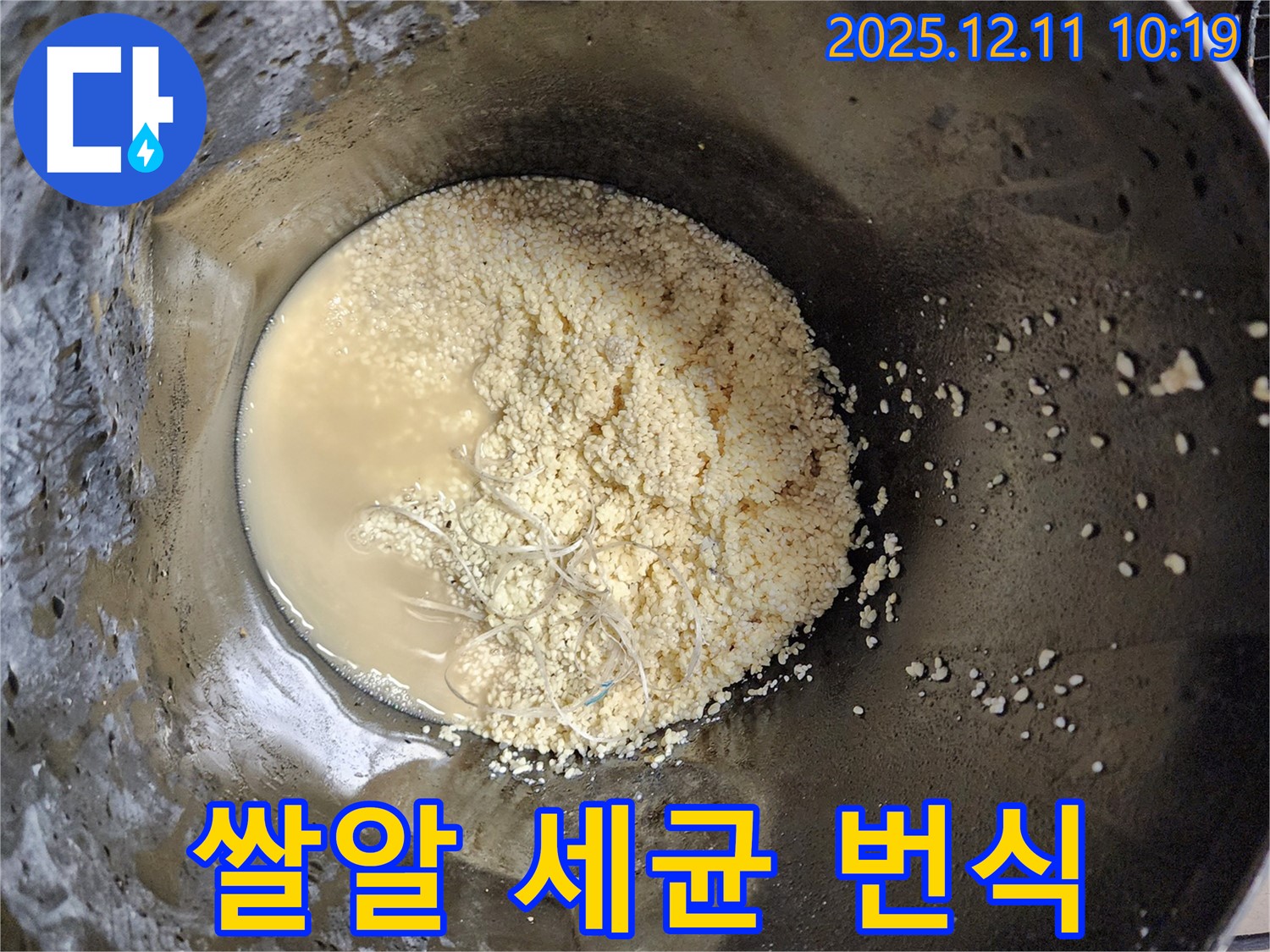 배관 속 쌀알 침전물 - 세균 번식 가능성