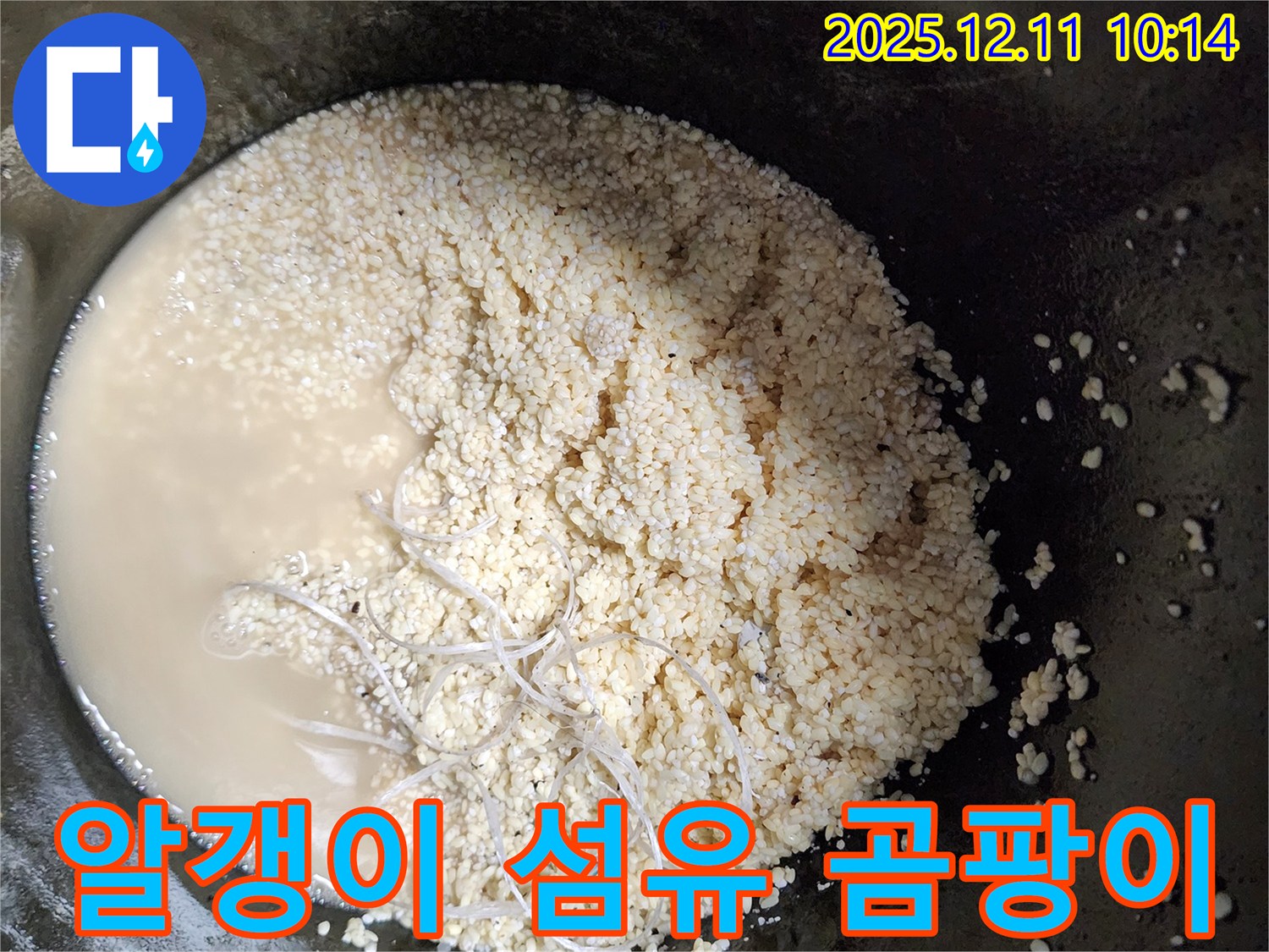 배관 속 알갱이 - 섬유 - 곰팡이 - 누수 유발