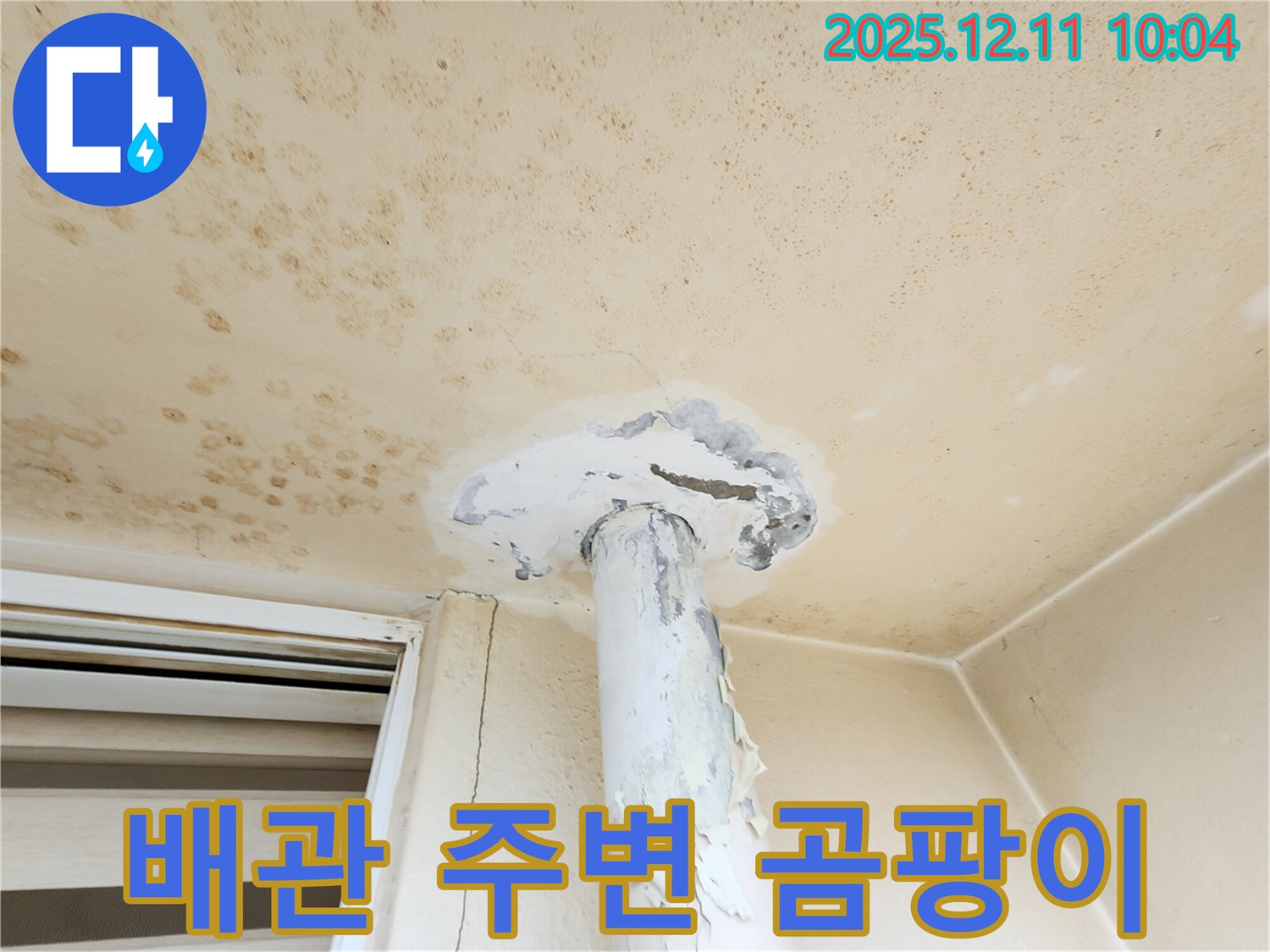 배관 주변 곰팡이 - 집중 발생! 누수 의심!
