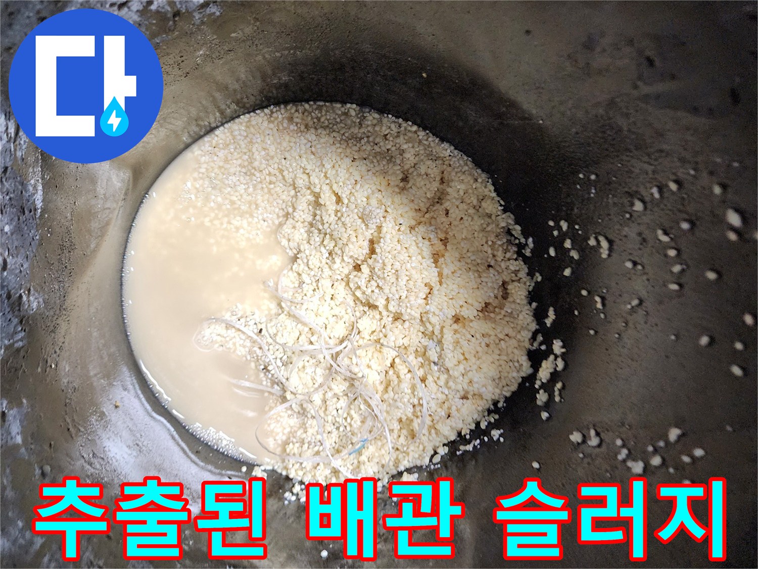 배수구-내부에서-뽑아낸-기름찌꺼기와-오수