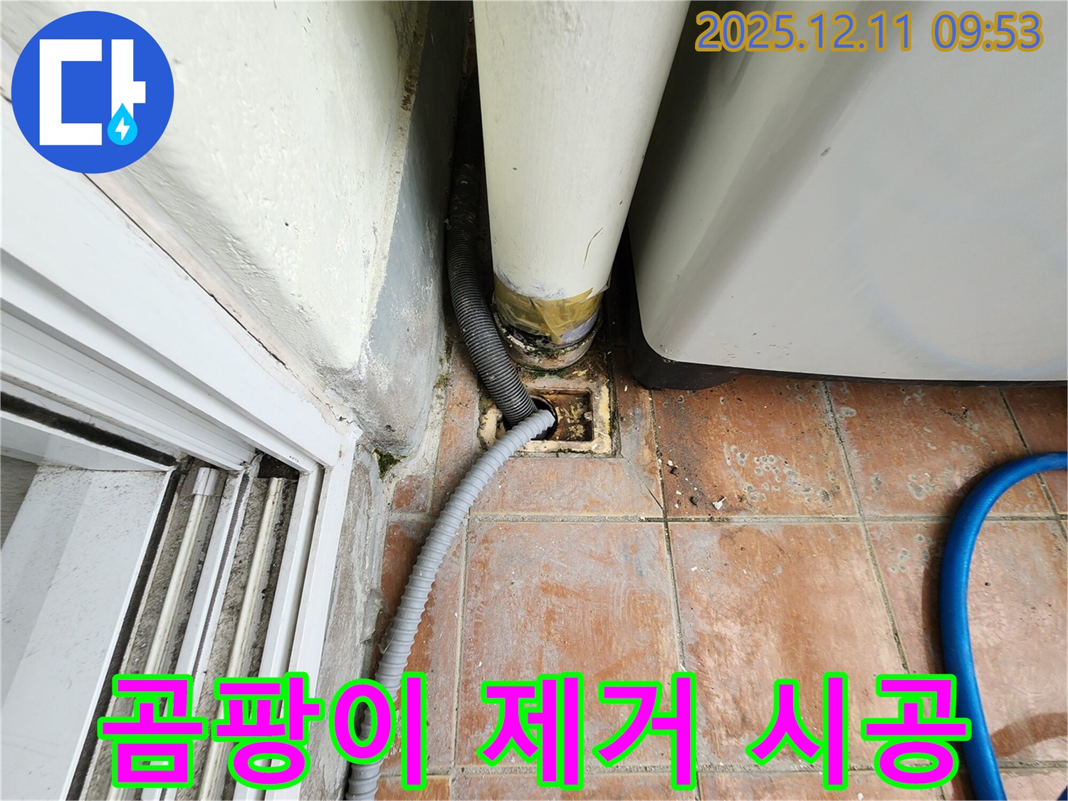 세탁기 배수구 주변 곰팡이 발생 - 제거 및 곰팡이 방지 시공 진행