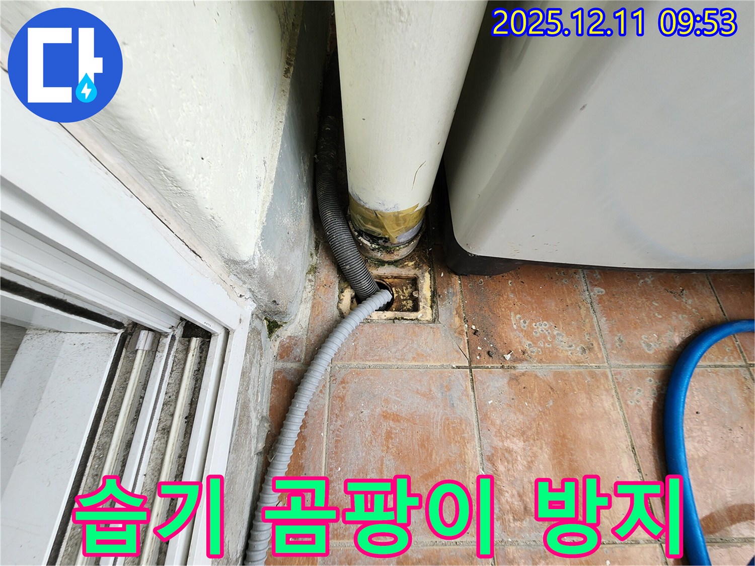 세탁기 하수구 연결 부위 주변 습기 제거 및 곰팡이 방지 조치